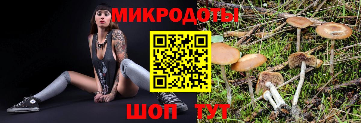 Галлюциногенные грибы MAGIC MUSHROOMS Спасск-Дальний
